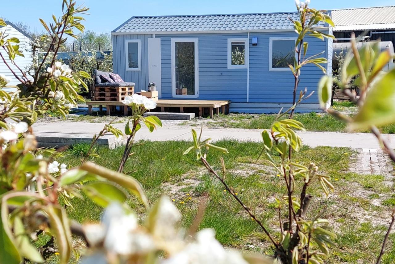 Chalet Elstar Hengstdijk المظهر الخارجي الصورة