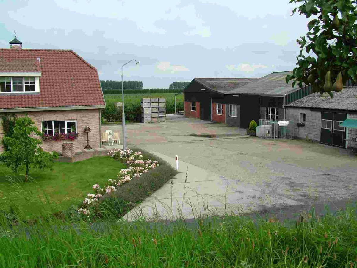 Chalet Elstar Hengstdijk المظهر الخارجي الصورة